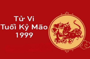 Tử vi tuổi Kỷ Mão năm 2025 nữ mạng: Cẩn trọng sức khoẻ, phát triển công việc Tử vi tuổi Kỷ Mão năm 2025 nữ mạng: Cẩn trọng sức khoẻ, phát triển công việc