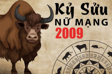 Tử vi tuổi Kỷ Sửu năm 2025 nữ mạng: Đối mặt khó khăn, nỗ lực vượt qua Tử vi tuổi Kỷ Sửu năm 2025 nữ mạng: Đối mặt khó khăn, nỗ lực vượt qua