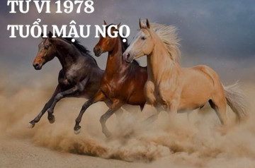 Tử vi tuổi Mậu Ngọ năm 2025 nam mạng: Công việc mở rộng, tài chính dồi dào Tử vi tuổi Mậu Ngọ năm 2025 nam mạng: Công việc mở rộng, tài chính dồi dào
