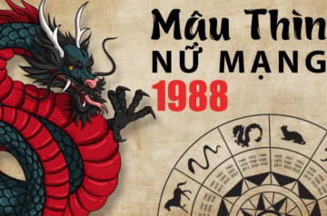 Tử vi tuổi Mậu Thìn năm 2025 nữ mạng: Sự nghiệp phát triển, tình cảm thăng hoa Tử vi tuổi Mậu Thìn năm 2025 nữ mạng: Sự nghiệp phát triển, tình cảm thăng hoa
