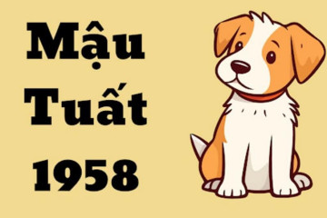 Tử vi tuổi Bính Thân năm 2025 nam mạng: Cung hạn, sao chiếu mệnh và vận trình cả năm Tử vi tuổi Bính Thân năm 2025 nam mạng: Cung hạn, sao chiếu mệnh và vận trình cả năm