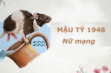 Tử vi tuổi Mậu Tý năm 2025 nữ mạng: Tài chính may mắn, đón nhận hỷ sự Tử vi tuổi Mậu Tý năm 2025 nữ mạng: Tài chính may mắn, đón nhận hỷ sự