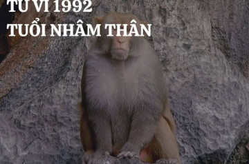 Tử vi tuổi Nhâm Thân năm 2025 nữ mạng: Sự nghiệp thăng tiến, hôn nhân viên mãn Tử vi tuổi Nhâm Thân năm 2025 nữ mạng: Sự nghiệp thăng tiến, hôn nhân viên mãn