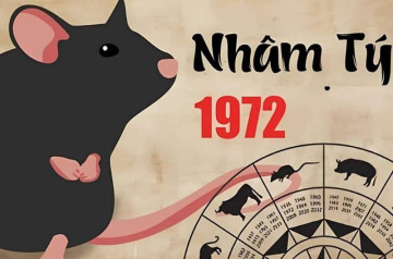 Tử vi tuổi Nhâm Tý năm 2025 nam mạng: Sự nghiệp phát triển, tài chính ổn định Tử vi tuổi Nhâm Tý năm 2025 nam mạng: Sự nghiệp phát triển, tài chính ổn định