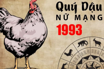 Tử vi tuổi Quý Dậu năm 2025 nữ mạng: Kiên trì vượt qua thử thách, đón nhận chuyển biến tích cực Tử vi tuổi Quý Dậu năm 2025 nữ mạng: Kiên trì vượt qua thử thách, đón nhận chuyển biến tích cực