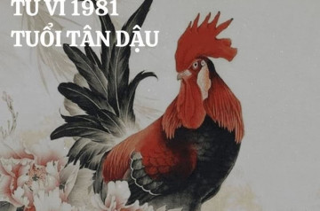 Tử vi tuổi Tân Dậu năm 2025 nam mạng: Cân đối giữa gia đình và sự nghiệp Tử vi tuổi Tân Dậu năm 2025 nam mạng: Cân đối giữa gia đình và sự nghiệp