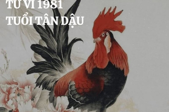 Tử vi tuổi Tân Dậu năm 2025 nam mạng: Cân đối giữa gia đình và sự nghiệp Tử vi tuổi Tân Dậu năm 2025 nam mạng: Cân đối giữa gia đình và sự nghiệp