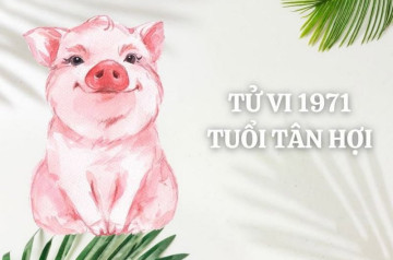 Tử vi tuổi Tân Hợi năm 2025 nam mạng: Tận dụng cơ hội, đẩy lùi khó khăn Tử vi tuổi Tân Hợi năm 2025 nam mạng: Tận dụng cơ hội, đẩy lùi khó khăn