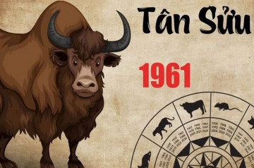Tử vi tuổi Tân Sửu năm 2025 nam mạng: Cuộc sống bình ổn, không nhiều biến động Tử vi tuổi Tân Sửu năm 2025 nam mạng: Cuộc sống bình ổn, không nhiều biến động