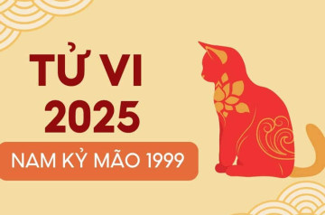 Tử vi tuổi Kỷ Mão nam mạng 2025: Giải mã vận trình, chọn đúng hướng đi Tử vi tuổi Kỷ Mão nam mạng 2025: Giải mã vận trình, chọn đúng hướng đi