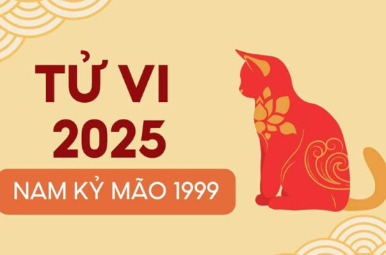 Tử vi tuổi Kỷ Mão nam mạng 2025: Giải mã vận trình, chọn đúng hướng đi Tử vi tuổi Kỷ Mão nam mạng 2025: Giải mã vận trình, chọn đúng hướng đi