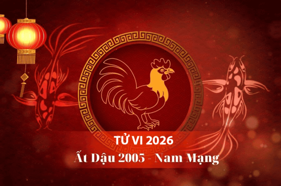 Tử vi tuổi Ất Dậu năm 2026 nam mạng – Cẩn trọng khi bị sao Thái Bạch chiếu mệnh Tử vi tuổi Ất Dậu năm 2026 nam mạng – Cẩn trọng khi bị sao Thái Bạch chiếu mệnh
