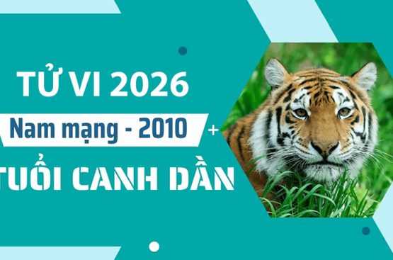Tử vi tuổi Canh Dần 2010 năm 2026 nam mạng – Sao chiếu mệnh nào quyết định vận trình tuổi 17 Tử vi tuổi Canh Dần 2010 năm 2026 nam mạng – Sao chiếu mệnh nào quyết định vận trình tuổi 17