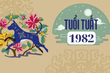 Tử vi tuổi Nhâm Tuất năm 2026 nam mạng – Mệnh Thủy gặp sao Mộc Đức tốt hay xấu? Tử vi tuổi Nhâm Tuất năm 2026 nam mạng – Mệnh Thủy gặp sao Mộc Đức tốt hay xấu?