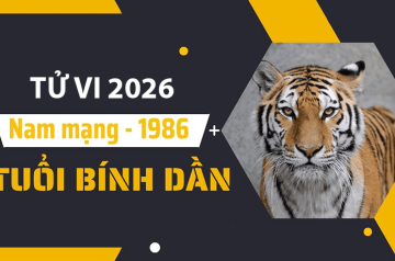 Tử vi tuổi Bính Dần năm 2026 nam mạng – Gặp sao Thái Dương chiếu, tài vận liệu có khởi sắc? Tử vi tuổi Bính Dần năm 2026 nam mạng – Gặp sao Thái Dương chiếu, tài vận liệu có khởi sắc?