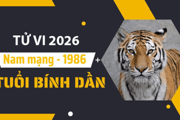 Tử vi tuổi Bính Dần năm 2026 nam mạng – Gặp sao Thái Dương chiếu, tài vận liệu có khởi sắc? Tử vi tuổi Bính Dần năm 2026 nam mạng – Gặp sao Thái Dương chiếu, tài vận liệu có khởi sắc?