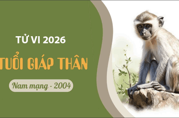 Tử vi tuổi Giáp Thân năm 2026 nam mạng: Năm bước ngoặt từ học hành sang lập nghiệp Tử vi tuổi Giáp Thân năm 2026 nam mạng: Năm bước ngoặt từ học hành sang lập nghiệp