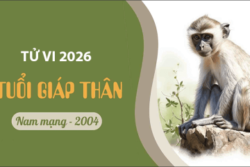 Tử vi tuổi Quý Mùi năm 2026 nam mạng – Năm Ngọ mang đến những thử thách nào trong cuộc sống? Tử vi tuổi Quý Mùi năm 2026 nam mạng – Năm Ngọ mang đến những thử thách nào trong cuộc sống?
