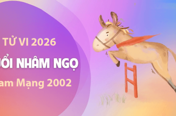 Tử vi tuổi Nhâm Ngọ năm 2026 nam mạng – Gặp sao Kế Đô chiếu mệnh có đáng lo không? Tử vi tuổi Nhâm Ngọ năm 2026 nam mạng – Gặp sao Kế Đô chiếu mệnh có đáng lo không?