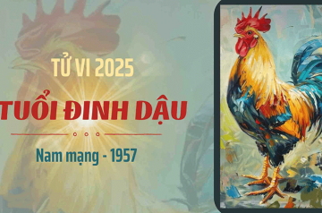 Tử vi tuổi Đinh Dậu năm 2025 nam mạng – Giải mã sự nghệp, sức khỏe biến động ra sao? Tử vi tuổi Đinh Dậu năm 2025 nam mạng – Giải mã sự nghệp, sức khỏe biến động ra sao?