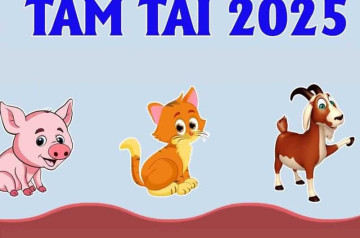 Tam tai 2025: Khái niệm, tác động, cách tính, tuổi phạm trong năm và cách hóa giải Tam tai 2025: Khái niệm, tác động, cách tính, tuổi phạm trong năm và cách hóa giải