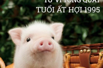 Tử vi tuổi Ất Hợi năm 2026 nam mạng: Vận trình thuận lợi, đón nhận thành công Tử vi tuổi Ất Hợi năm 2026 nam mạng: Vận trình thuận lợi, đón nhận thành công