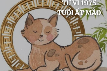 Tử vi tuổi Ất Mão năm 2025 nữ mạng: Thay đổi mạnh mẽ, chú ý sự nghiệp Tử vi tuổi Ất Mão năm 2025 nữ mạng: Thay đổi mạnh mẽ, chú ý sự nghiệp