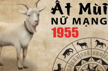 Tử vi tuổi Ất Mùi năm 2025 nữ mạng: Chuyển biến tích cực, phát triển mạnh mẽ Tử vi tuổi Ất Mùi năm 2025 nữ mạng: Chuyển biến tích cực, phát triển mạnh mẽ