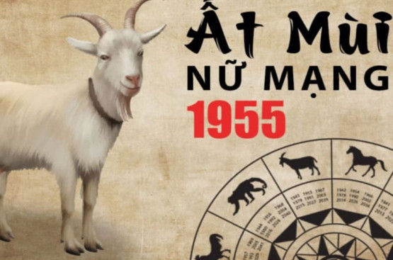 Tử vi tuổi Ất Mùi năm 2025 nữ mạng: Chuyển biến tích cực, phát triển mạnh mẽ Tử vi tuổi Ất Mùi năm 2025 nữ mạng: Chuyển biến tích cực, phát triển mạnh mẽ