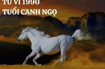 Tử vi tuổi Canh Ngọ năm 2026 nam mạng: Vận trình thuận lợi, cẩn trọng mọi việc Tử vi tuổi Canh Ngọ năm 2026 nam mạng: Vận trình thuận lợi, cẩn trọng mọi việc