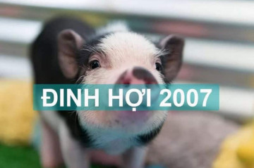 Tử vi tuổi Đinh Hợi năm 2026 nam mạng: Nhiều biến động, đối diện Tam Tai Tử vi tuổi Đinh Hợi năm 2026 nam mạng: Nhiều biến động, đối diện Tam Tai