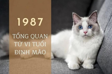 Tử vi tuổi Đinh Mão năm 2025 nữ mạng: Nhiều điểm sáng, lắm thử thách Tử vi tuổi Đinh Mão năm 2025 nữ mạng: Nhiều điểm sáng, lắm thử thách