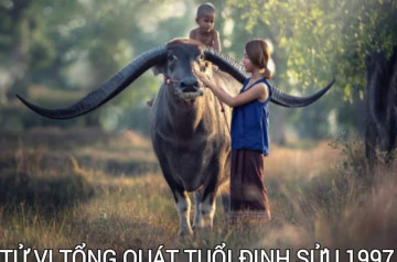 Tử vi tuổi Đinh Sửu năm 2026 nam mạng: Đối mặt Tam Tai, cẩn trọng mọi việc Tử vi tuổi Đinh Sửu năm 2026 nam mạng: Đối mặt Tam Tai, cẩn trọng mọi việc