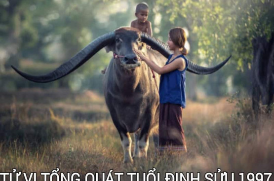 Tử vi tuổi Đinh Sửu năm 2026 nam mạng: Đối mặt Tam Tai, cẩn trọng mọi việc Tử vi tuổi Đinh Sửu năm 2026 nam mạng: Đối mặt Tam Tai, cẩn trọng mọi việc