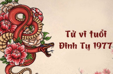 Tử vi tuổi Đinh Tỵ năm 2025 nữ mạng: Dồi dào tài lộc, cẩn trọng sức khoẻ Tử vi tuổi Đinh Tỵ năm 2025 nữ mạng: Dồi dào tài lộc, cẩn trọng sức khoẻ