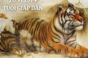 Tử vi tuổi Giáp Dần năm 2025 nữ mạng: Nhiều biến động và thay đổi lớn Tử vi tuổi Giáp Dần năm 2025 nữ mạng: Nhiều biến động và thay đổi lớn