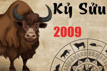 Tử vi tuổi Kỷ Sửu năm 2026 nam mạng: Đối diện sóng gió, hoá giải thế nào hiệu quả? Tử vi tuổi Kỷ Sửu năm 2026 nam mạng: Đối diện sóng gió, hoá giải thế nào hiệu quả?