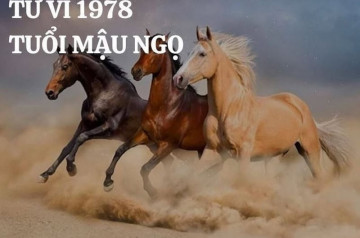Tử vi tuổi Mậu Ngọ năm 2025 nữ mạng: May mắn và thịnh vượng cả năm Tử vi tuổi Mậu Ngọ năm 2025 nữ mạng: May mắn và thịnh vượng cả năm