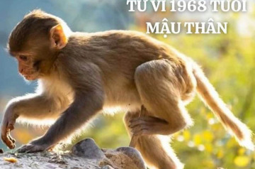 Tử vi tuổi Mậu Thân năm 2025 nữ mạng: Sự nghiệp phát triển, tài chính ổn định Tử vi tuổi Mậu Thân năm 2025 nữ mạng: Sự nghiệp phát triển, tài chính ổn định