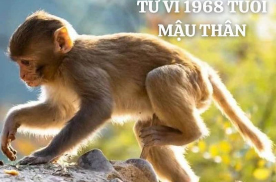 Tử vi tuổi Mậu Thân năm 2025 nữ mạng: Sự nghiệp phát triển, tài chính ổn định Tử vi tuổi Mậu Thân năm 2025 nữ mạng: Sự nghiệp phát triển, tài chính ổn định