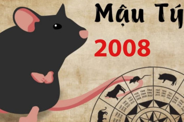 Tử vi tuổi Mậu Tý năm 2026 nam mạng: Xung khắc bản mệnh năm, cẩn trọng mọi việc Tử vi tuổi Mậu Tý năm 2026 nam mạng: Xung khắc bản mệnh năm, cẩn trọng mọi việc