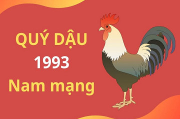 Tử vi tuổi Quý Dậu năm 2026 nam mạng: Chuyển biến tích cực, tài lộc dồi dào Tử vi tuổi Quý Dậu năm 2026 nam mạng: Chuyển biến tích cực, tài lộc dồi dào