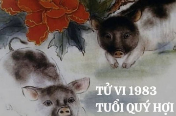 Tử vi tuổi Quý Hợi năm 2026 nam mạng: Giai đoạn chuyển vận, sự nghiệp thách thức Tử vi tuổi Quý Hợi năm 2026 nam mạng: Giai đoạn chuyển vận, sự nghiệp thách thức