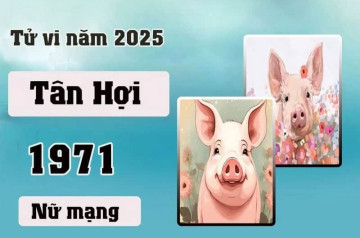 Tử vi tuổi Tân Hợi năm 2025 nữ mạng: Vận khí bất ổn, đối diện thử thách Tử vi tuổi Tân Hợi năm 2025 nữ mạng: Vận khí bất ổn, đối diện thử thách