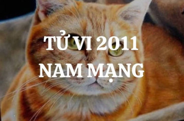 Tử vi tuổi Tân Mão năm 2026 nam mạng: Giai đoạn chuyển mình, đặc biệt chú ý Tử vi tuổi Tân Mão năm 2026 nam mạng: Giai đoạn chuyển mình, đặc biệt chú ý