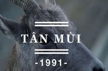 Tử vi tuổi Tân Mùi năm 2026 nam mạng: Cơ hội đội phá, thăng tiến sự nghiệp Tử vi tuổi Tân Mùi năm 2026 nam mạng: Cơ hội đội phá, thăng tiến sự nghiệp