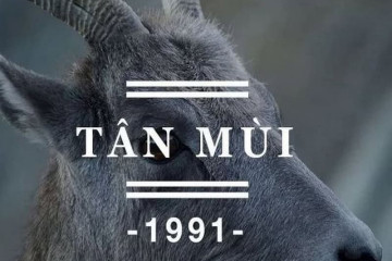 Tam tai 2026: Khái niệm cơ bản, tác động năm Bính Ngọ, các tuổi phạm và cách hoá giải Tam tai 2026: Khái niệm cơ bản, tác động năm Bính Ngọ, các tuổi phạm và cách hoá giải