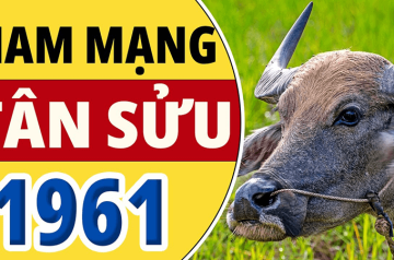 Tử vi tuổi Tân Sửu năm 2026 nam mạng – Vận số tuổi 66 nói lên điều gì? Tử vi tuổi Tân Sửu năm 2026 nam mạng – Vận số tuổi 66 nói lên điều gì?