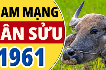 Tử vi tuổi Tân Sửu năm 2026 nam mạng – Vận số tuổi 66 nói lên điều gì? Tử vi tuổi Tân Sửu năm 2026 nam mạng – Vận số tuổi 66 nói lên điều gì?