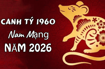 Tử vi tuổi Canh Tý năm 2026 nam mạng – Tài lộc, sức khỏe và sự nghiệp thăng trầm ra sao? Tử vi tuổi Canh Tý năm 2026 nam mạng – Tài lộc, sức khỏe và sự nghiệp thăng trầm ra sao?